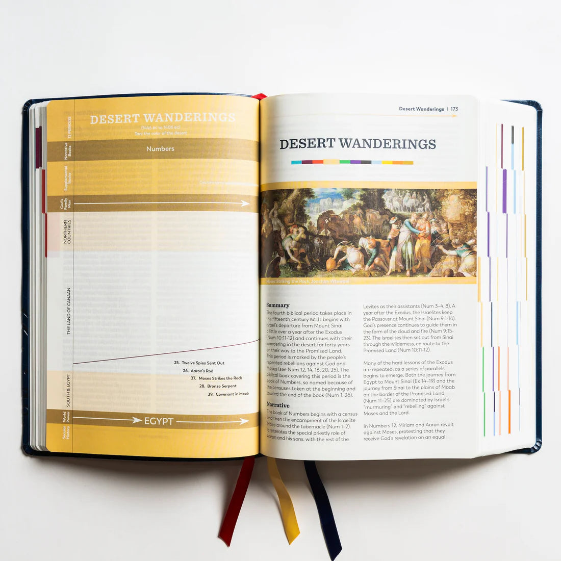 BIBLE RSV Catholic Great Adventure LEATHER Blue - SECOND EDITION