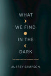 WHAT WE FIND IN THE DARK