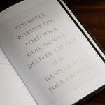 The Word on Fire Bible (Volume IV): The Promised Land - Leather
