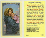 HC PRAYER TO MARY