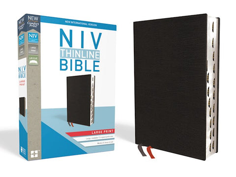 BIBLE NIV LARGE PRINT