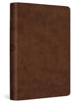 ESV VALUE COMPACT BIBLE - BROWN