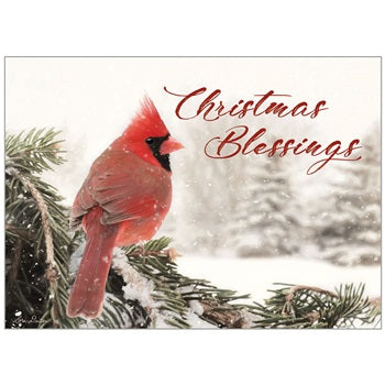 BOXED CHRISTMAS CARDS- CHRISTMAS BLESSINGS W/ CARDINAL