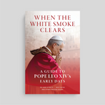 When the White Smoke Clears: A Guide to Pope Leo XIV's Early Days