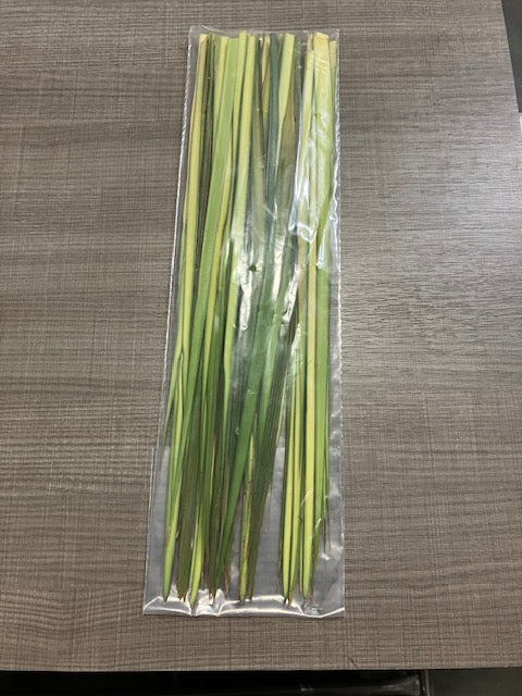Palms-Stripped (100pcs)