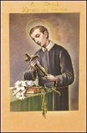 Novena Book: Saint Gerard Majella