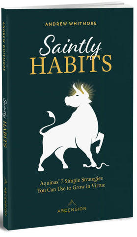 SAINTLY HABITS : AQUINAS' 7 SIMPLE STRATEGIES