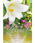 Jesus Lives Easter Bulletin
